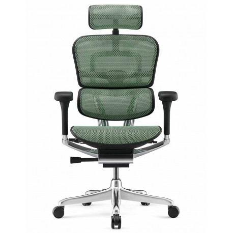 Кресло Ergohuman Luxury 2 (EHL2-AB-HAM-5D-L, сетка Т-168-B4 Green) Comfort