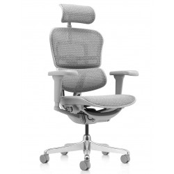 Кресло ERGOHUMAN ULTRA  (EHU-AG-HAM-4D, сетка T-168-B2 NATURAL) Comfort Seating